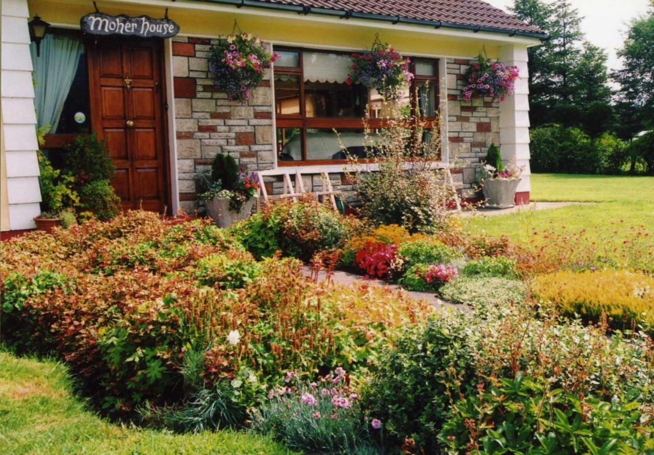 Moher House Bed & Breakfast 5*